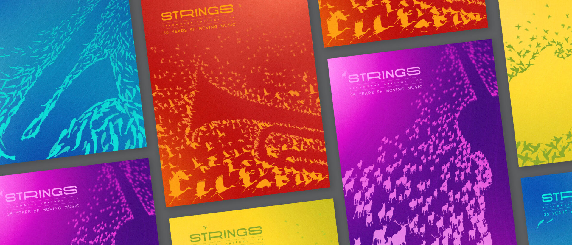 Strings music festival, 35 years of moving music, layout of colorful programs